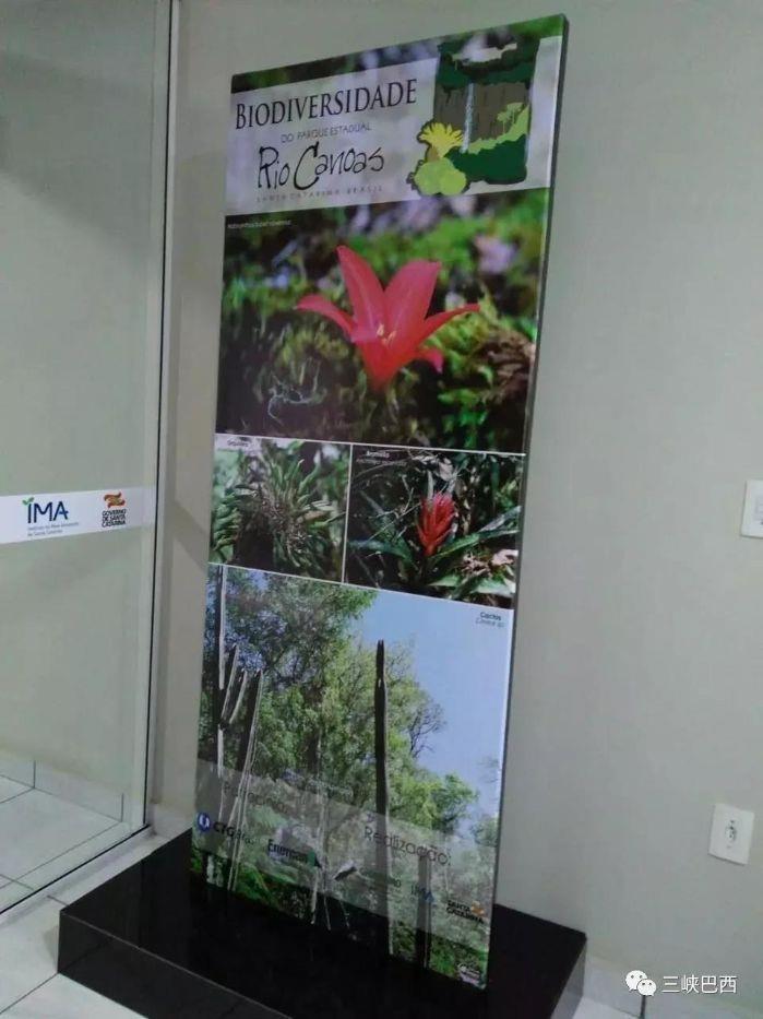 2019101017024287717 2019101017024287717